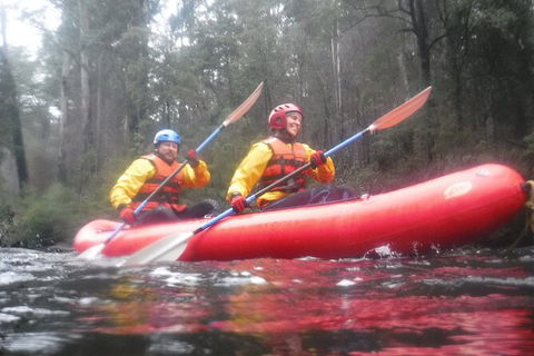 Twin Rivers Winter Adventure - Tweed Heads Accommodation 3