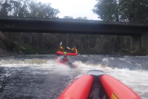 Twin Rivers Winter Adventure - Tweed Heads Accommodation 4