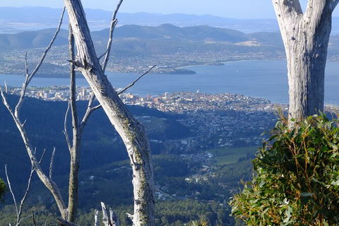 Mt. Wellington Morning Hike + Afternoon Beer & History Walk - Tweed Heads Accommodation 10