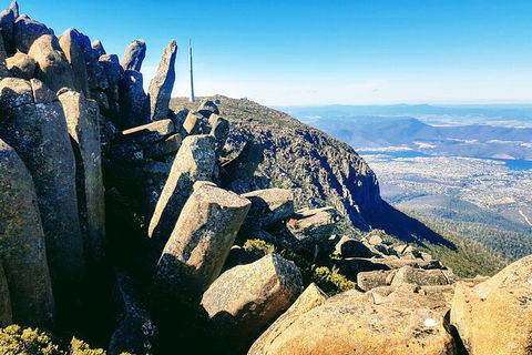 Mt. Wellington Morning Hike + Afternoon Beer & History Walk - Tweed Heads Accommodation 11