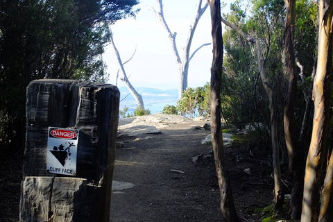 Mt. Wellington Morning Hike + Afternoon Beer & History Walk - Tweed Heads Accommodation 14