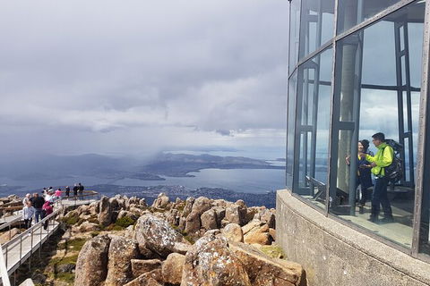 Mt. Wellington Morning Hike + Afternoon Beer & History Walk - Tweed Heads Accommodation 12