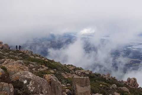 Mt. Wellington Morning Hike + Afternoon Beer & History Walk - Tweed Heads Accommodation 18