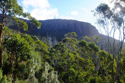 Mt. Wellington Morning Hike + Afternoon Beer & History Walk - Tweed Heads Accommodation 4