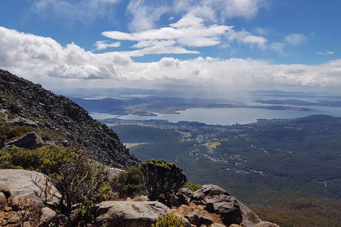 Mt. Wellington Morning Hike + Afternoon Beer & History Walk - Tweed Heads Accommodation 5