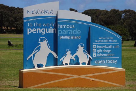 Experience Phillip Island From Inches - Tweed Heads Accommodation 0