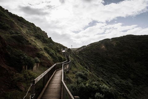 Explore Coastlines: Mornington Peninsula & Hot Springs Tour - Tweed Heads Accommodation 2