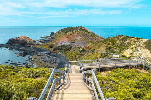 Explore Coastlines: Mornington Peninsula & Hot Springs Tour - Tweed Heads Accommodation 3