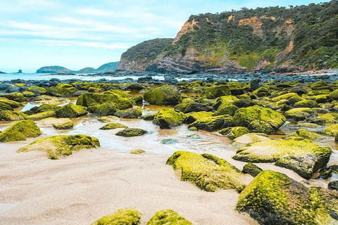 Explore Coastlines: Mornington Peninsula & Hot Springs Tour - Tweed Heads Accommodation 4