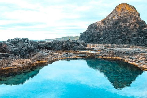 Explore Coastlines: Mornington Peninsula & Hot Springs Tour - Tweed Heads Accommodation 5