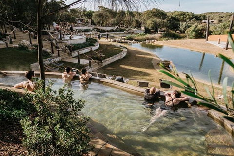 Explore Coastlines: Mornington Peninsula & Hot Springs Tour - Tweed Heads Accommodation 0
