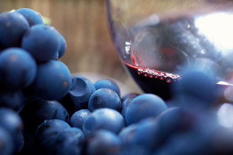 Mornington Peninsula 2-6 Guests Lunch, Wine And Pt Leo Estate Art Walk - Tweed Heads Accommodation 7