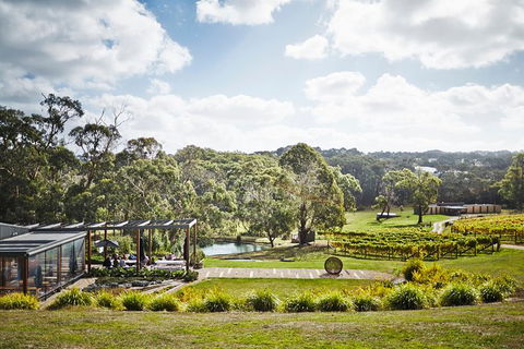 Mornington Peninsula 2-6 Guests Lunch, Wine And Pt Leo Estate Art Walk - Tweed Heads Accommodation 2