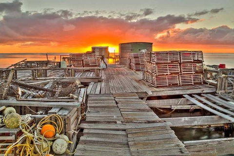 Abrolhos Islands 3 Day Fishing Charter - Tweed Heads Accommodation 5
