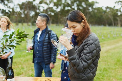 Organic Vineyard/Farm Tour - Tweed Heads Accommodation 1