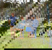 Organic Vineyard/Farm Tour - Tweed Heads Accommodation