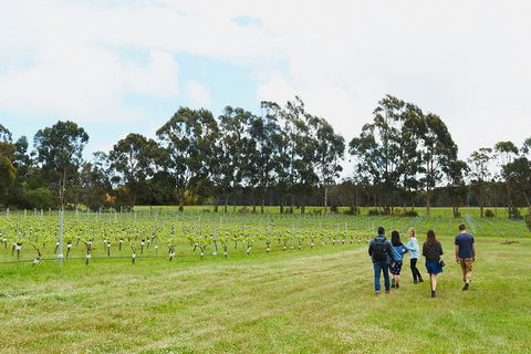 Organic Vineyard/Farm Tour - Tweed Heads Accommodation 7