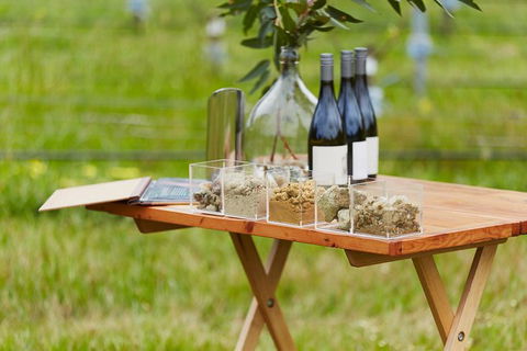 Organic Vineyard/Farm Tour - Tweed Heads Accommodation 3