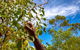 Mitchell Falls And Kimberley Coastal Camp (3night) - thumb 2