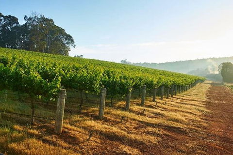 Botanical Gardens, Winery And Scenic Full Day Tour - Tweed Heads Accommodation 2