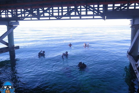 PADI Open Water Course - Tweed Heads Accommodation 3