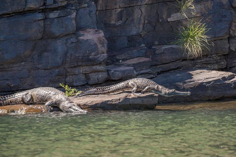 Ord River Discoverer With Sunset - Tweed Heads Accommodation 6