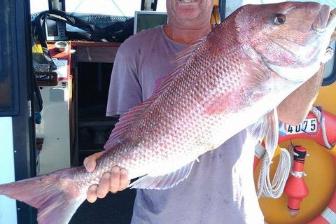 Geraldton Fishing Charter - Tweed Heads Accommodation 10