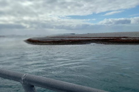 Abrolhos Islands Fishing Charter - Tweed Heads Accommodation 6