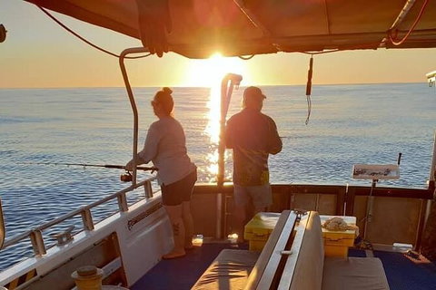 Abrolhos Islands Fishing Charter - Tweed Heads Accommodation 8