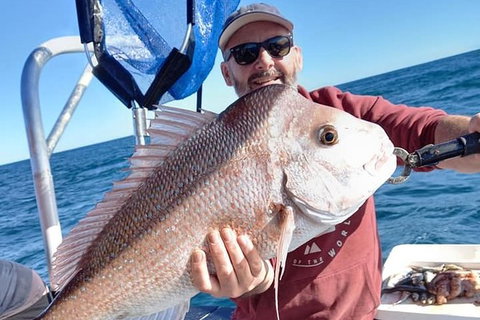 Abrolhos Islands Fishing Charter - Tweed Heads Accommodation 9