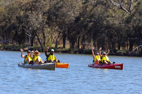 Private Guided River Kayak Tour - Tweed Heads Accommodation 0