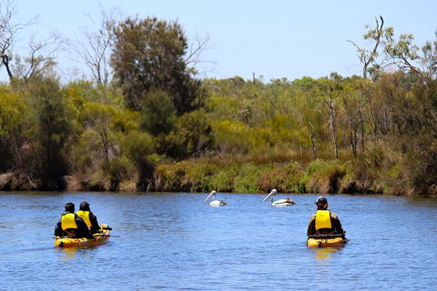 Private Guided River Kayak Tour - Tweed Heads Accommodation 4