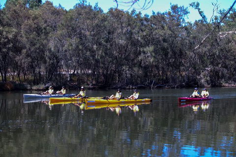Private Guided River Kayak Tour - Tweed Heads Accommodation 5