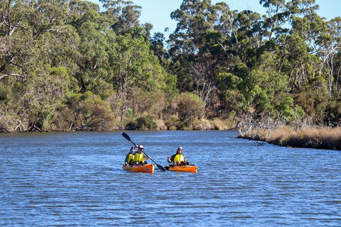 Private Guided River Kayak Tour - Tweed Heads Accommodation 7