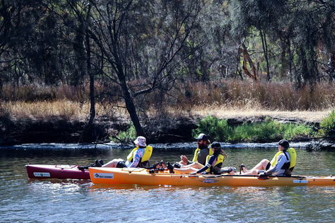 Private Guided River Kayak Tour - Tweed Heads Accommodation 3