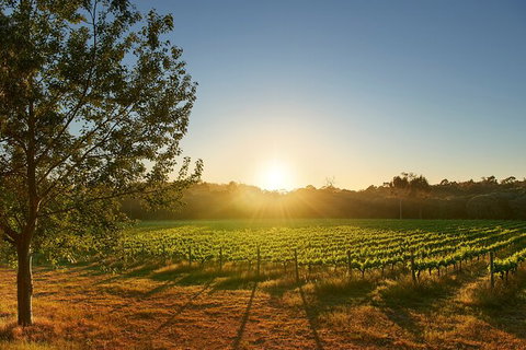 Private Barrel Hall Wine Tasting In The Margaret River Region - Tweed Heads Accommodation 3
