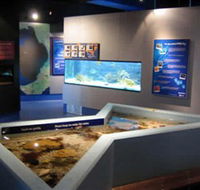 Marine and Freshwater Discovery Centre - Tweed Heads Accommodation