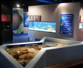 Marine And Freshwater Discovery Centre - Tweed Heads Accommodation 0