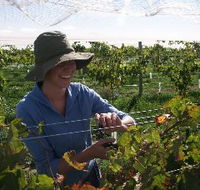 Kingsdale Wines - Tweed Heads Accommodation