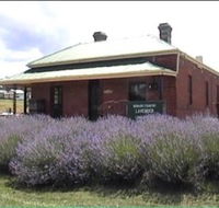 Lavender House in Railway Park - Tweed Heads Accommodation