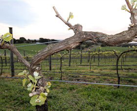 Nalbra Estate Wines - Tweed Heads Accommodation 0