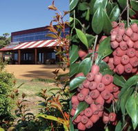 Bushfood Factory and Cafe - Tweed Heads Accommodation