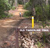 Old Timberline and Sidings Rail Trails - Tweed Heads Accommodation