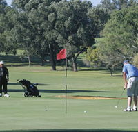 Spalding Park - Tweed Heads Accommodation