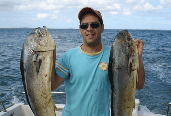 Jervis Bay Fishing and Charters - Tweed Heads Accommodation