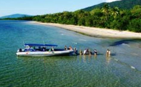 Cape Tribulation QLD Tweed Heads Accommodation