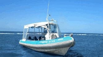 Yongala Dive  - Tweed Heads Accommodation 1