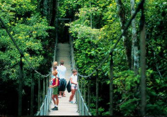 BTS Tours Pty Ltd - Tweed Heads Accommodation 4