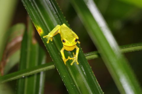 Daintree River Cruise Centre - Tweed Heads Accommodation 0