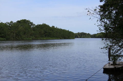 Daintree River Cruise Centre - Tweed Heads Accommodation 2